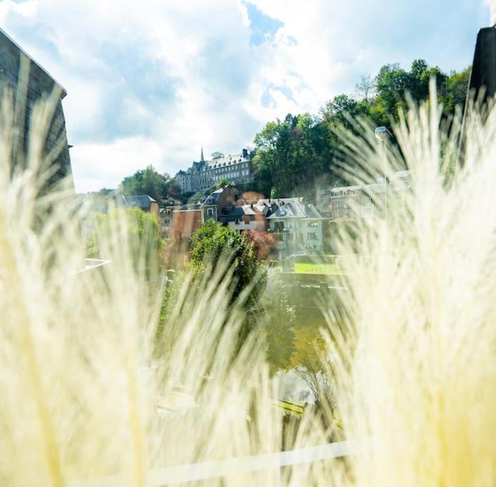 Le Comble Amoureux La-Roche-en-Ardenne Εξωτερικό φωτογραφία